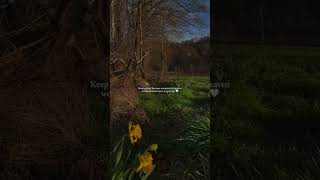 Famous Friendly Reminder to keep going 🤍 Net Worth