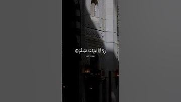 سورة الكافرون بصوت ماهر المعيقلي 🤎 #اجر_لي_ولك #تلاوة_خاشعة #تلاوة_هادئة #قرآن #الله #quran