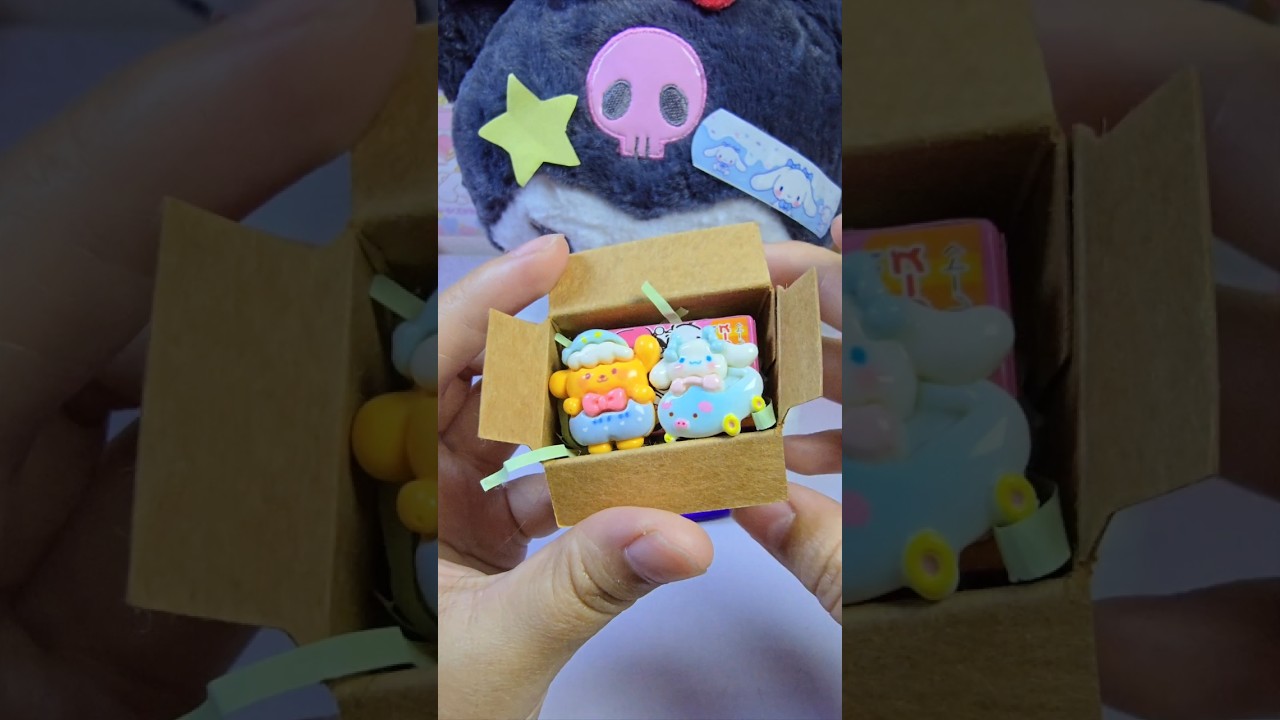 pompompurin cinnamoroll and sanrio mini cookie box package 🎁 