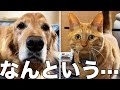 健康診断に行ったら悪い結果が出てしまいました・・・