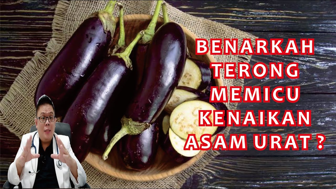 MITOS ATAU FAKTA : BENARKAN TERONG MEMICU MENINGKATNYA KASAR ASAM URAT ?