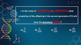 Solving Genetics Problems | Number 1