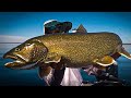 I caught my BIGGEST LAKE TROUT!!! Amongst a dozen others...