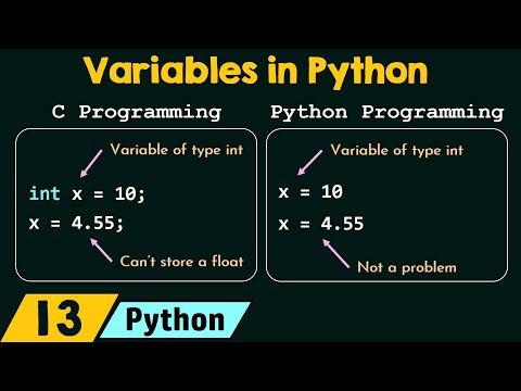 Video: Hoe werken variabelen in Python?