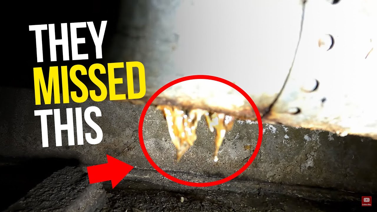 Rodent call takes a BAD turn...