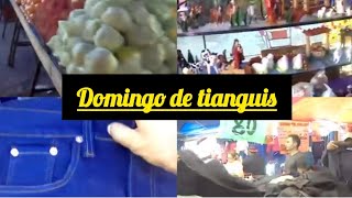 Domingo de TIANGUIS en IRAPUATO