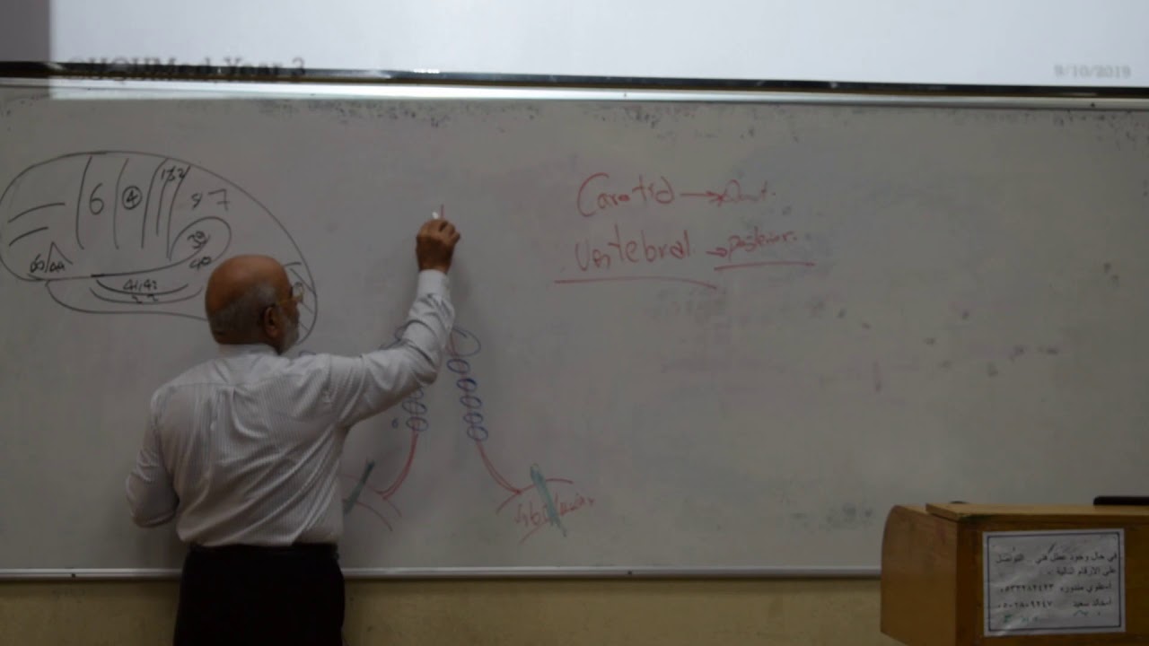 Anatomy - Vasulature of the CNS - Dr.Gamal camera iphone 8 plus apk