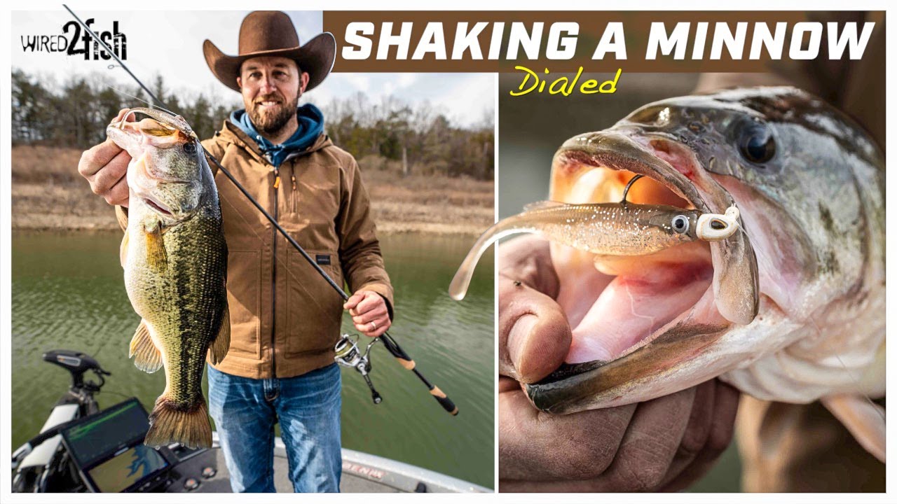 Shaking a Minnow for Winter Bass with Joey Cifentes