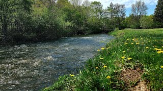 Hines  Park River ,Northville  #countryside of michigan