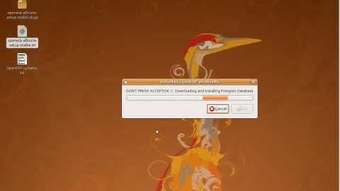 OpenERP installation: All-in-One for Ubuntu Linux