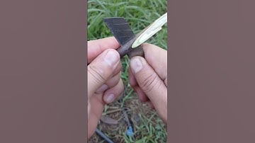 những khu vườn đẹp nhất #ocsen #shortvideo #farming #farm