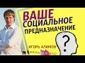 Ваше социальное предназначение / Как Найти Предназначение / Игорь Алимов / [Жизнь На Все 100!]