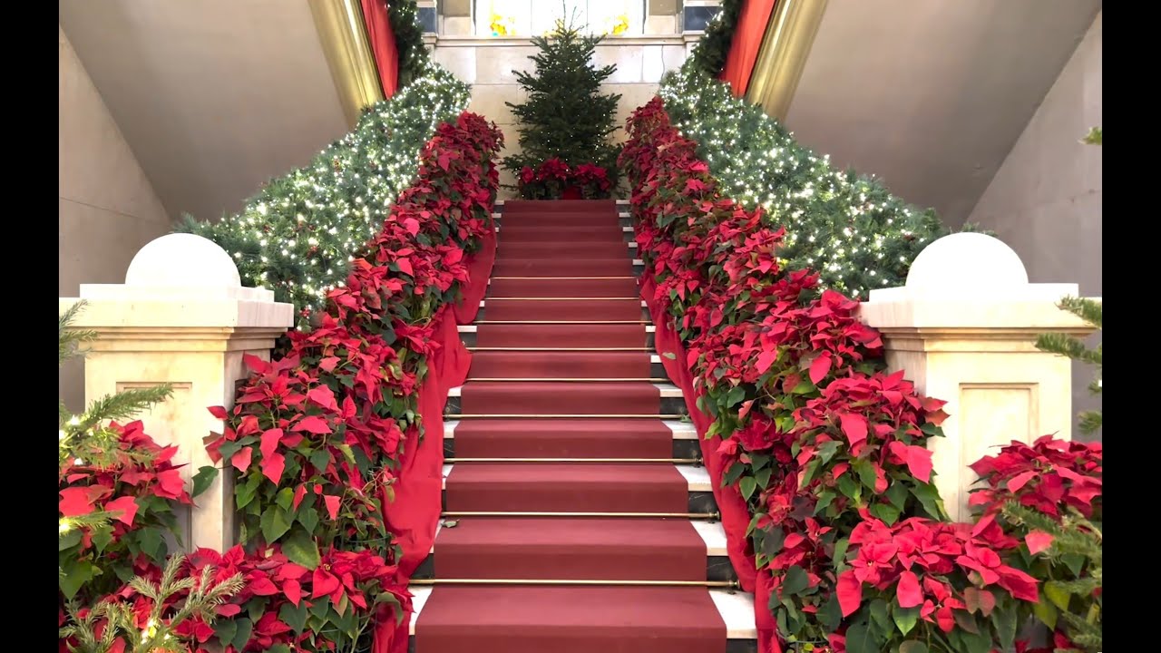 🌟✨ ¡Feliz Año Nuevo 2025! ✨🌟