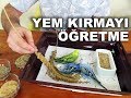 Yavru Muhabbet Kuşu Yem Kırmayı Öğretme