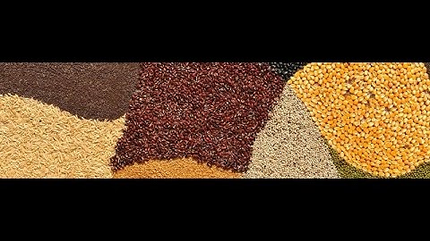 Feed Rations and Pearson Square