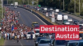 Refugee crisis: hundreds begin march to Austria