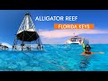 Alligator Reef, Islamorada, Florida Keys Snorkeling