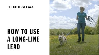 How To Use A Long-Line Lead | The Battersea Way by Battersea Dogs and Cats Home 30,699 views 2 years ago 4 minutes, 34 seconds