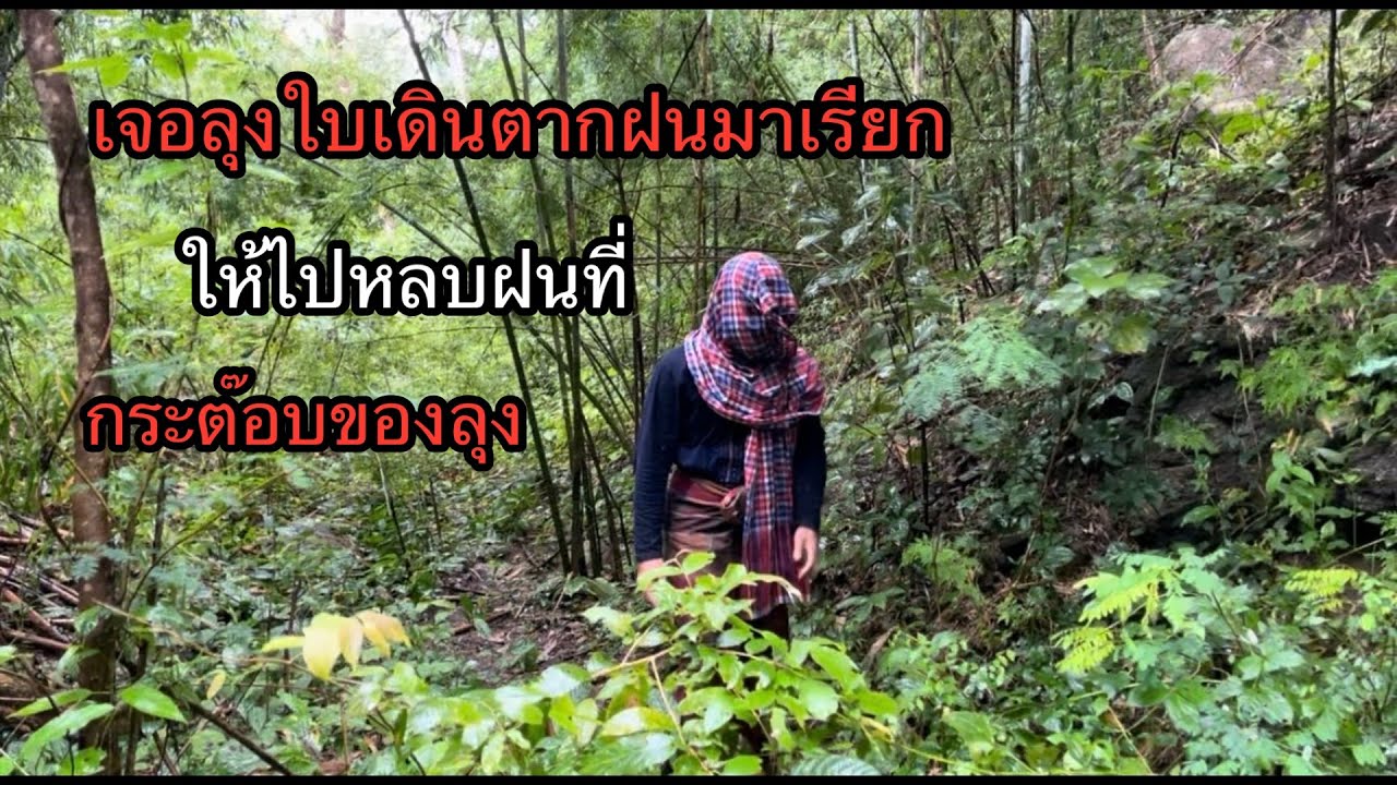 บังเอิญมากเจอ“ลุงใบ”เดินตากฝนมาเรียกผมให้ไปหลบฝนในกระต๊อบลุง.!!