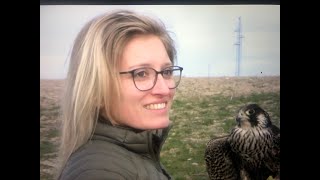 Falconry in Spain 2023 Part 1