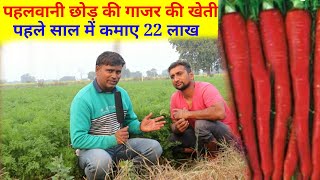 gajar ki kheti se lakhon ki kamai, carrot farming, gajar ki kheti kaise karen, गाजर की खेती कैसे करे