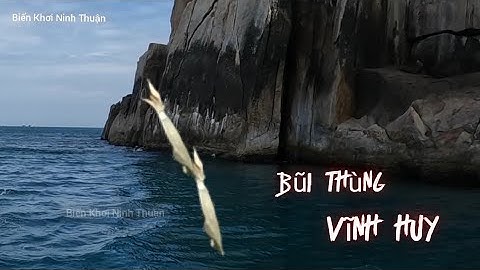 Mùa Mực Óng - Mực Thước -  Vùng Biển Bãi Thùng - Vĩnh Huy