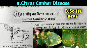 Citrus canker Disease in hindi  ||B.Sc 1st year Botany 1st semester Microbiology and plant pathology
