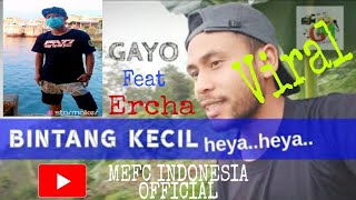 Bintang Kecil Versi \