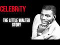 Celebrity underrated  the little walter story cadillac records movie