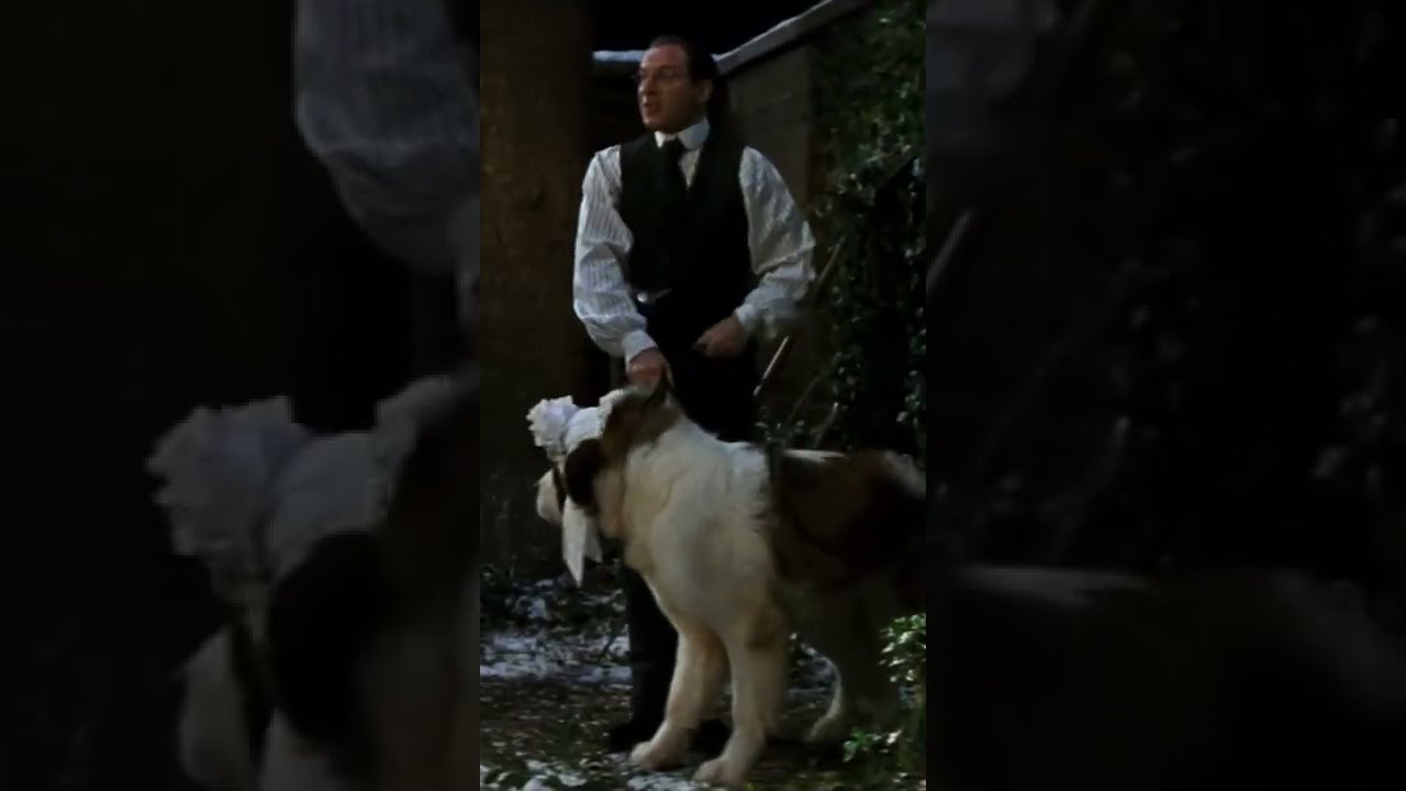 ⁣Peter Pan (2003) | This is a Dog #Shorts