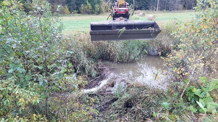 We are trying to save the river from swamping.