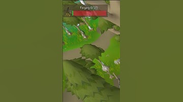 Useful RuneLite Plugins🛠️ — Part 3: Action Progress Plugin📊