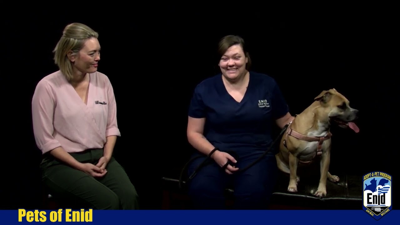 Pets of Enid 10/06/2022 YouTube