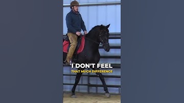 Riding Bitless v.s. Bitted...