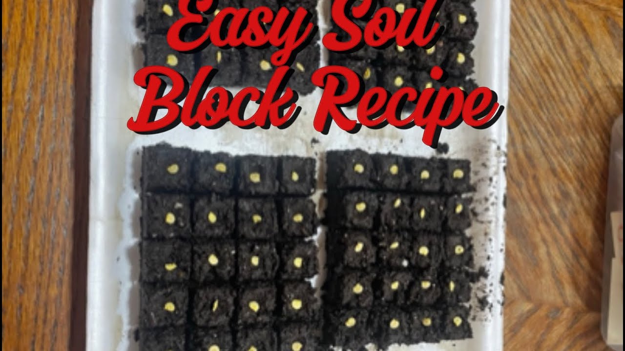 Easy Soil Block Recipe