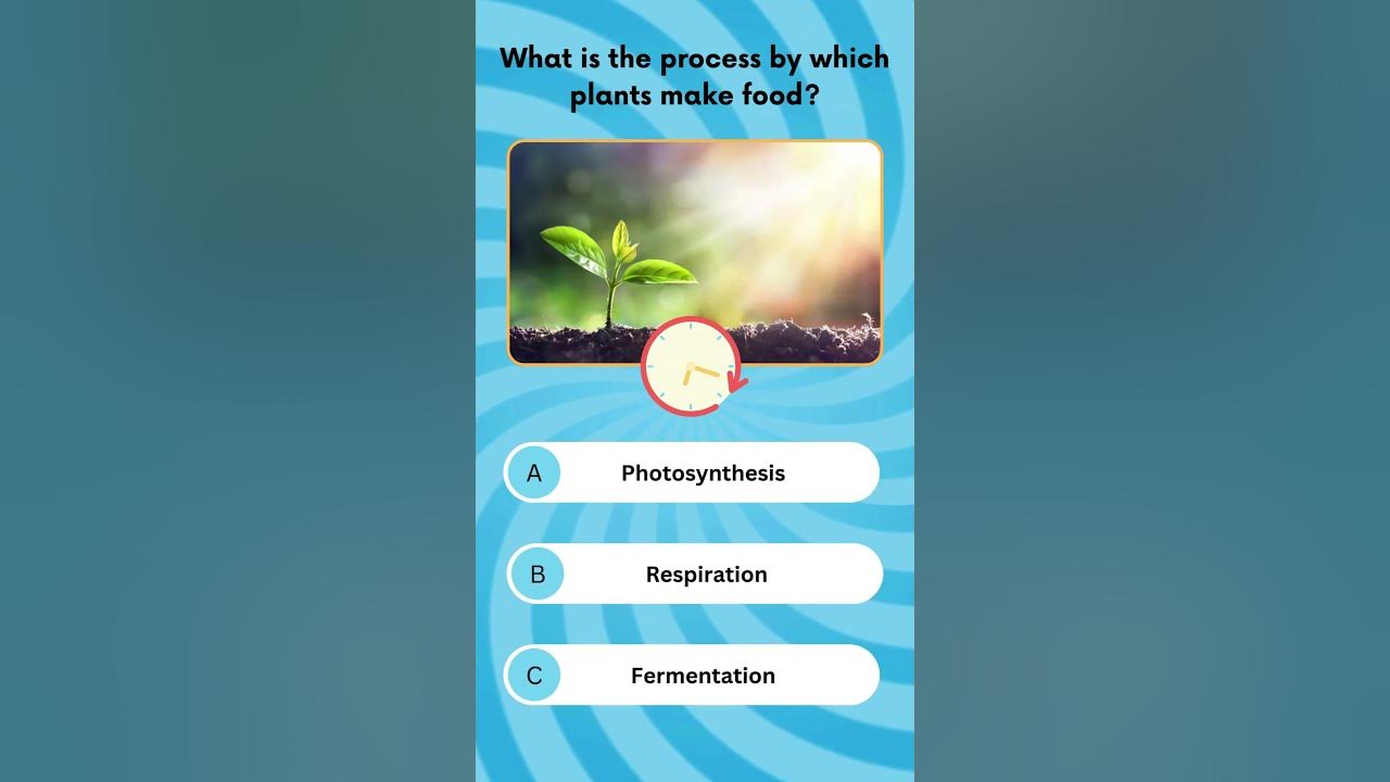 what-is-the-process-by-which-plants-make-food-biology-botony