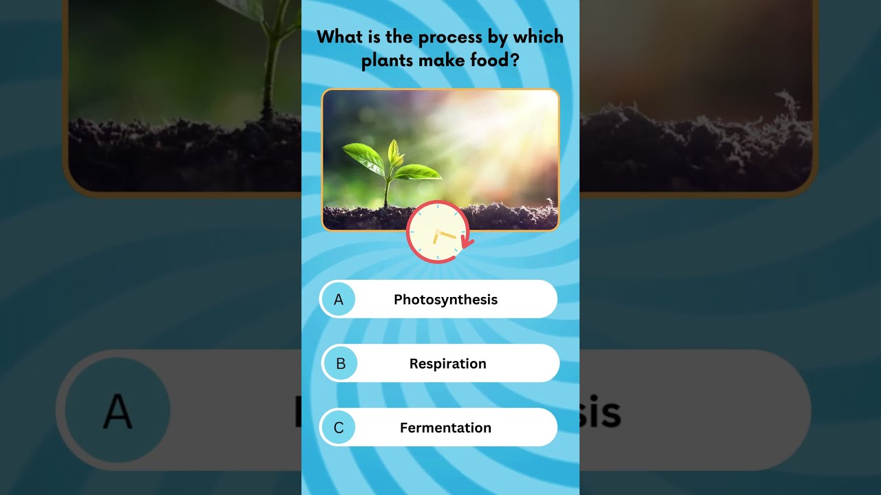What Is The Process By Which Plants Make Food biology botony What Is The Process By Which Plants Make Food biology botony
