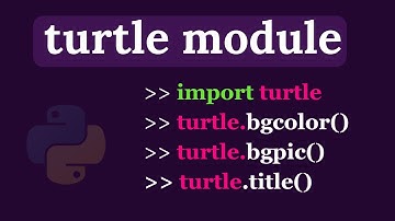 Python Turtle Graphics - bgcolor() | title() | bgpic()