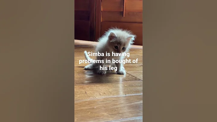 My Simba! U can do it baby