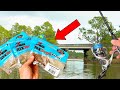 Catching TOOTHY Predators Using SOFT PLASTICS!