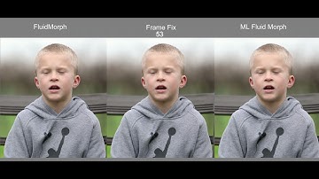 FluidMorph Comparison