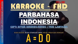 SIDOLI PARBAHASA INDONESIA KARAOKE LAGU BATAK TRIO LAMTAMA Nada Mitu...