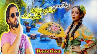 Balqees   Tawaak Galbek (( Reaction))  بلقيس   طاوعك😎😳