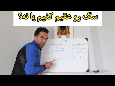 همه چیز در مورد عقیم کردن سگ ها نر و ماده 