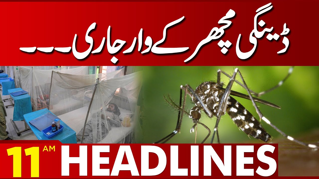 Dengue Case Increasing In Lahore Lahore News Headlines 11 AM 27 Sep