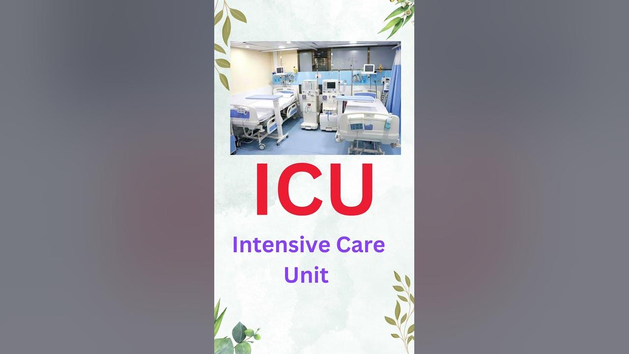 full-form-of-icu-music-beach-love-travel-edm-trending-job