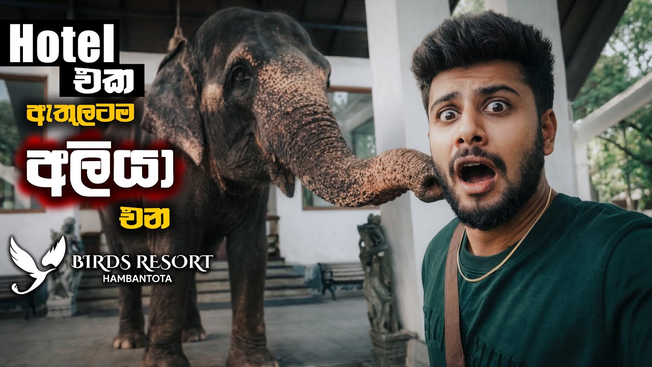 අලිත් එක්කම ගෙවුනු නිවාඩුව | Birds Resort Hambanthota 🇱🇰