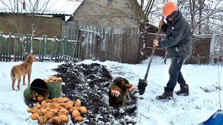Искал КРОТА - а нашёл ЭТО - Вы опупеете !