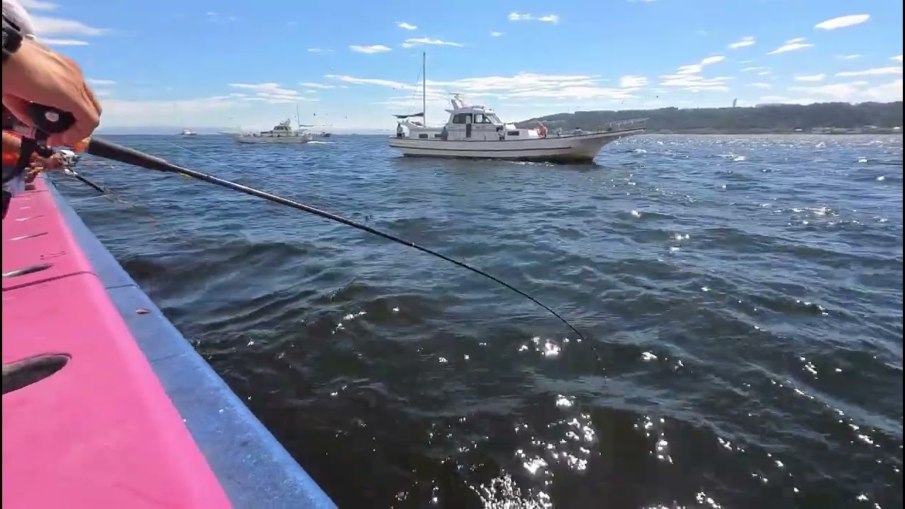 【この誘いで割と釣れた！】東京湾　天秤タチウオ　大津港　小川丸