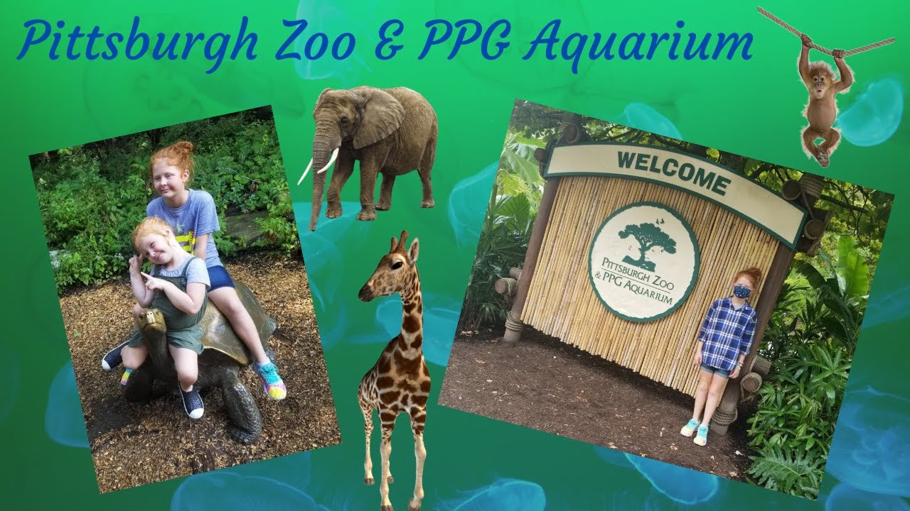 Pittsburgh Zoo PPG Aquarium Adventures Of 3 Gingers YouTube pittsburgh-zoo-ppg-aquarium-adventures-of-3-gingers-youtube